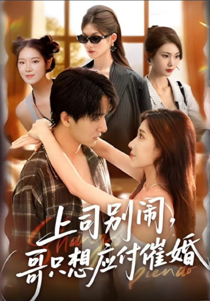 上司别闹哥只想应付催婚