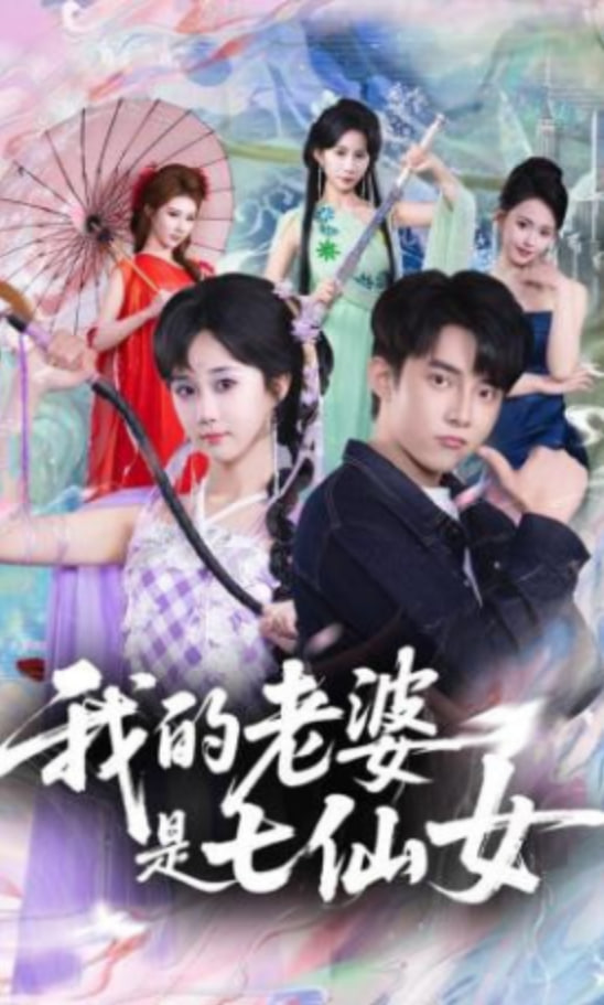 我的老婆是七仙女