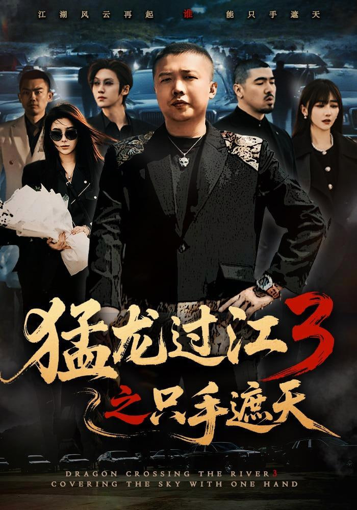 猛龙过江 3 之只手遮天